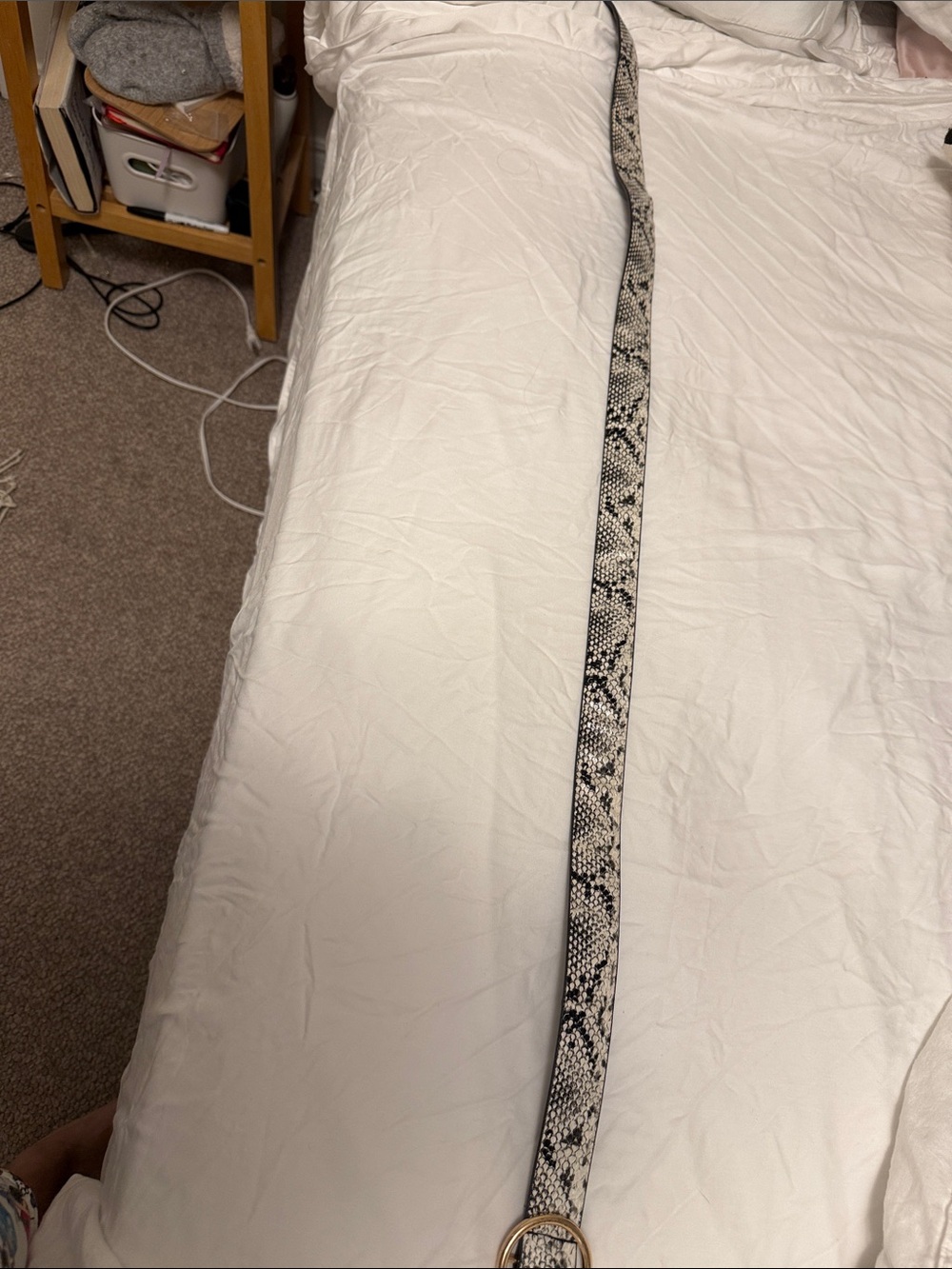 Snake Print Belt with Gold Ring Buckle